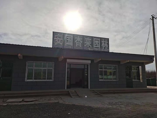 苗圃基地再發(fā)展|河北保定安東苗圃基地