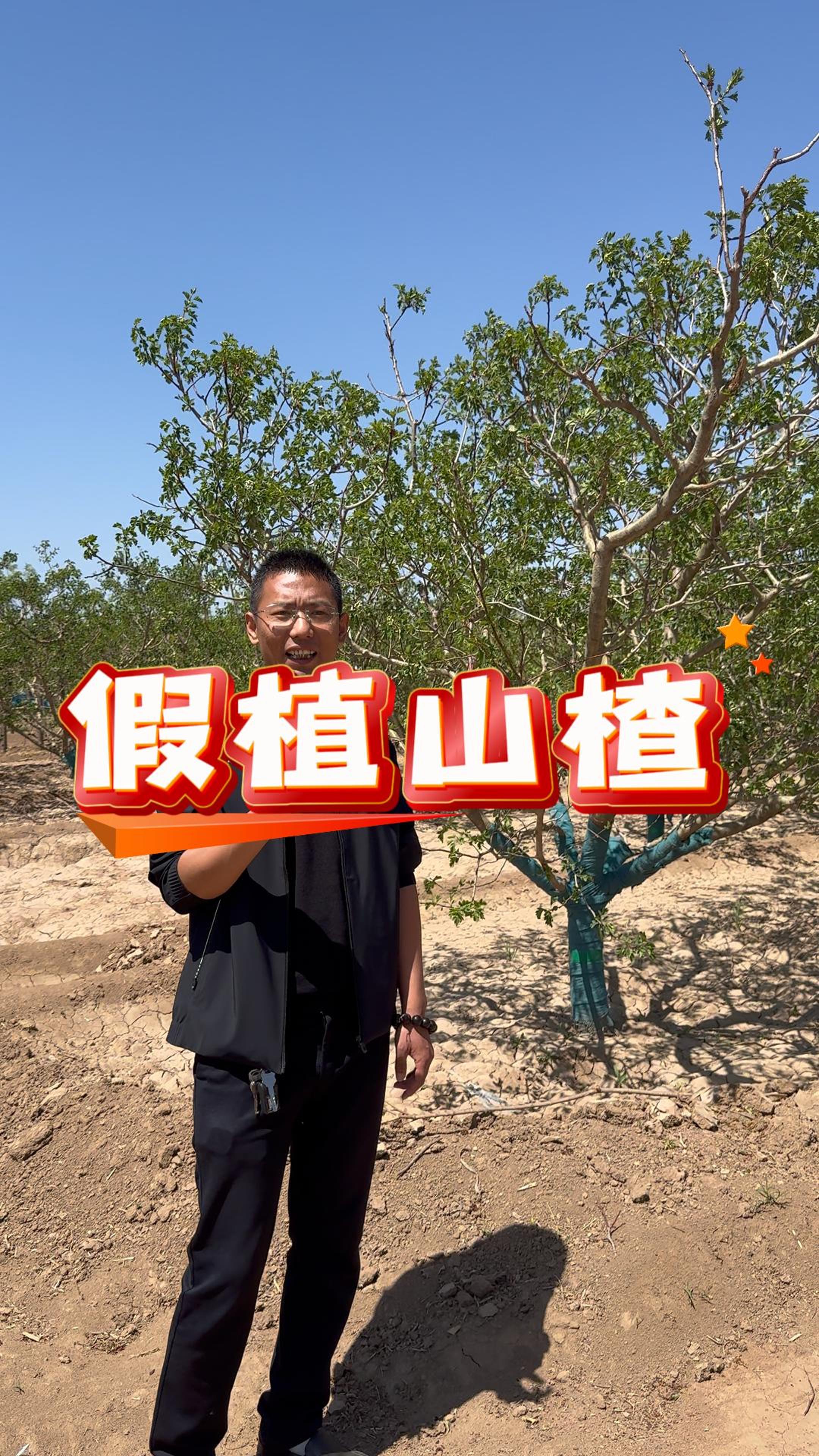 如何從宏觀角度看待園林行業的二次深耕